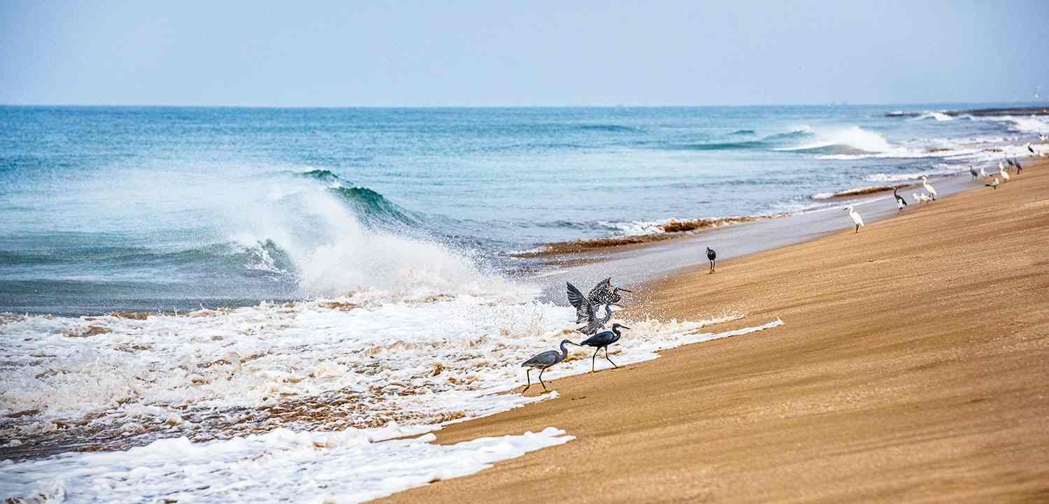 Porbandar