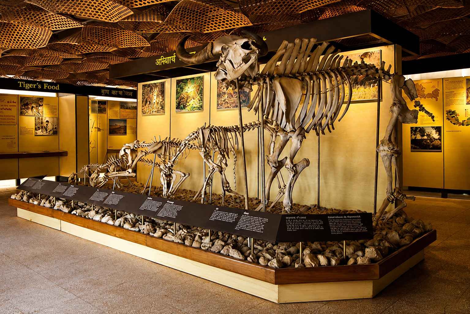 Kanha Interpretation Zone and Museum