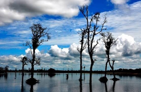 Dibru-Saikhowa National Park