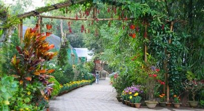 Kaziranga National Orchid and Biodiversity Park