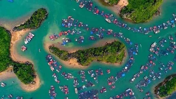 Majuli Island