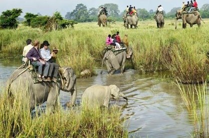 Orang National Park