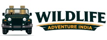 Wildlife Adventure India