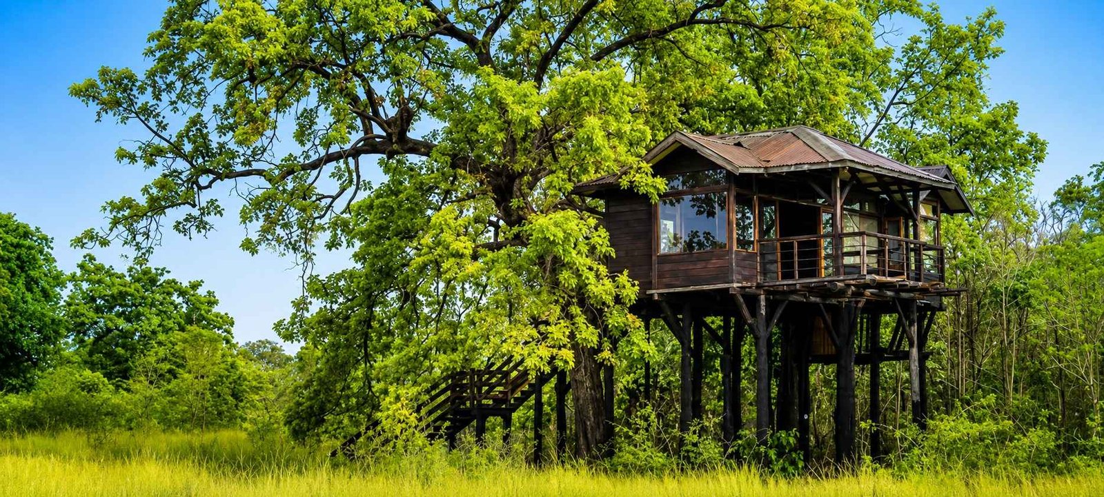 Pench Tree Lodge