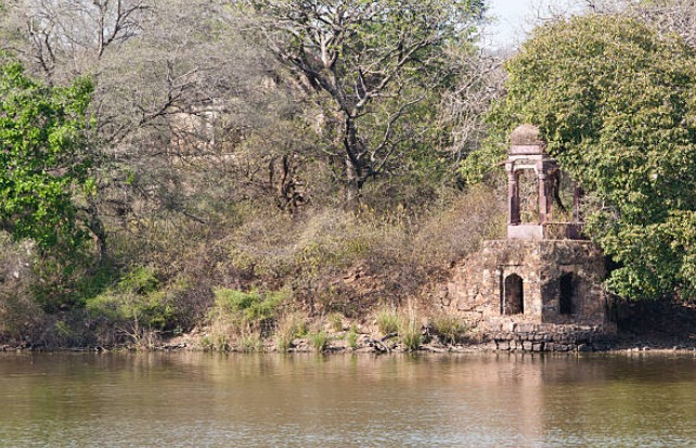 Raj Bagh Ruins & Raj Bagh Talab
