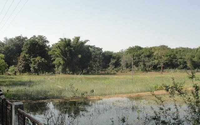 Navegaon National Park