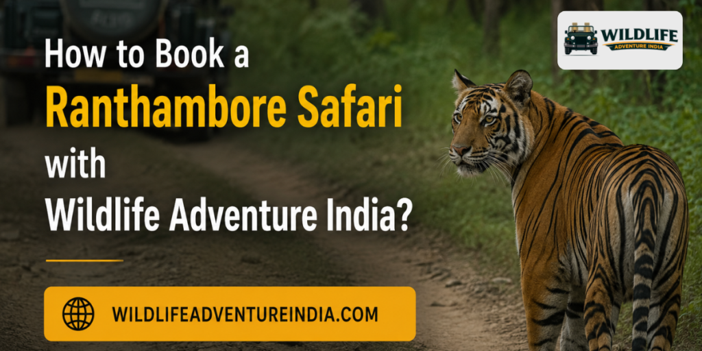 How to Book a Ranthambore Safari with Wildlife Adventure India?