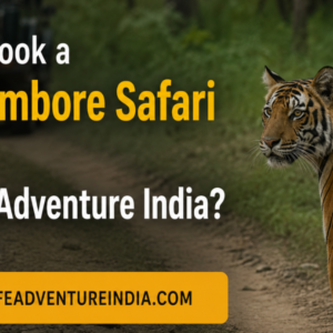 How to Book a Ranthambore Safari with Wildlife Adventure India?