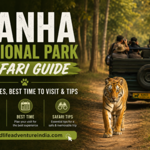 Kanha National Park Safari Guide: Zones, Timings & Tips