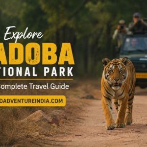 Explore Tadoba National Park The Complete Travel Guide 
