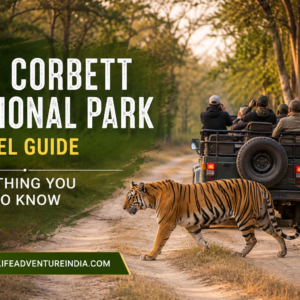 Jim Corbett National Park Travel Guide Everything You Need to Know