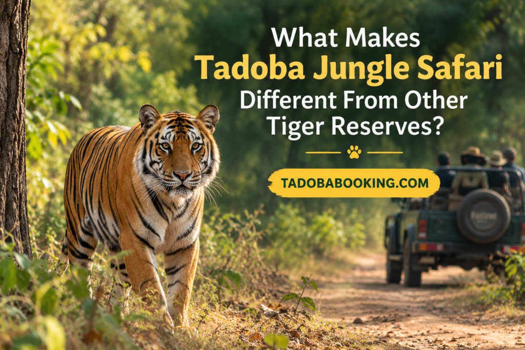 What Makes Tadoba Jungle Safari Different From Other Tiger Reserves
