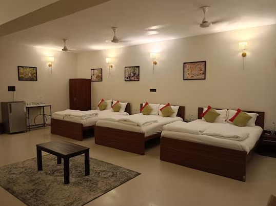 Olive Resort Resorts