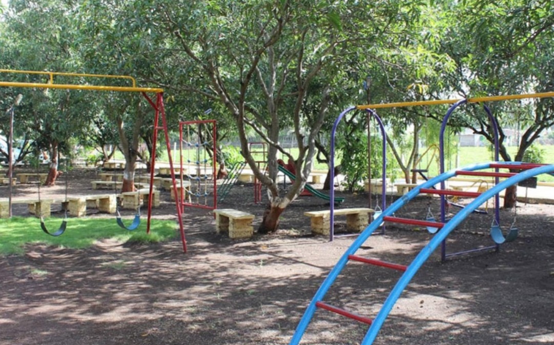 Gir Jungle Lodge
