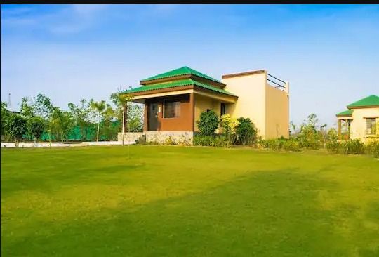 Olive Resort Resorts