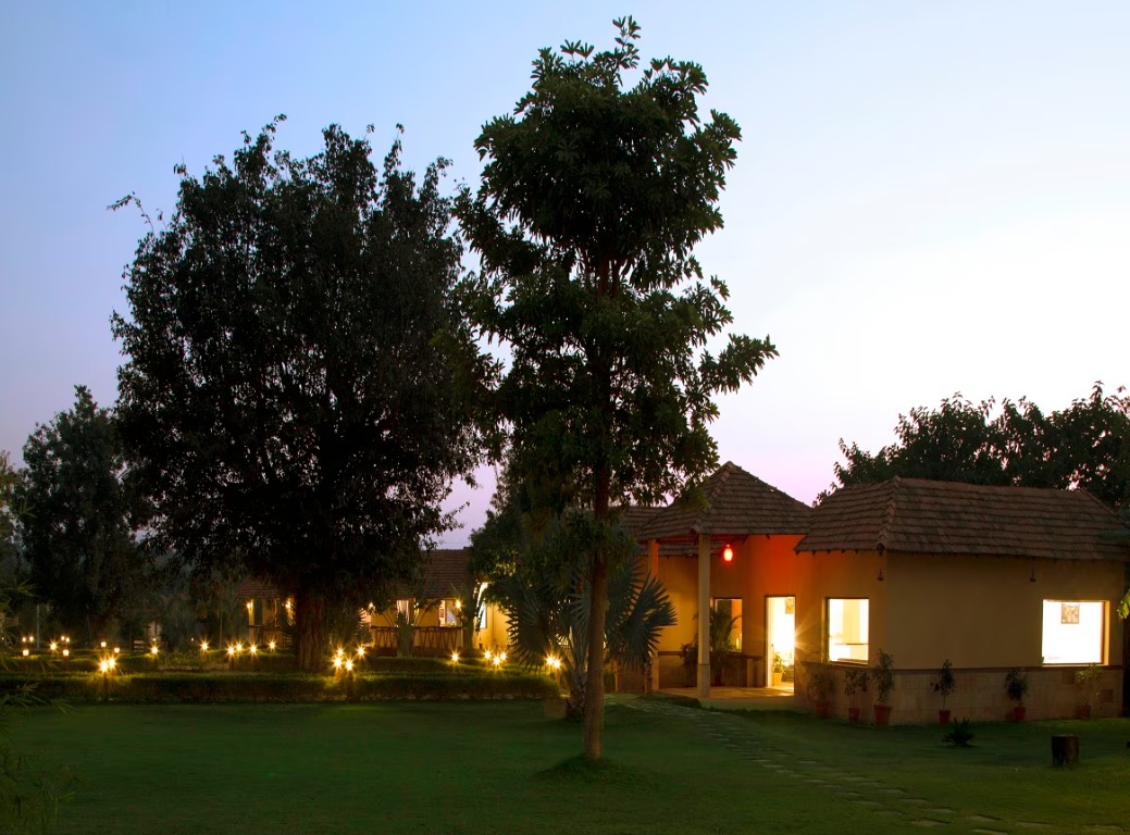 Soulacia Kanha